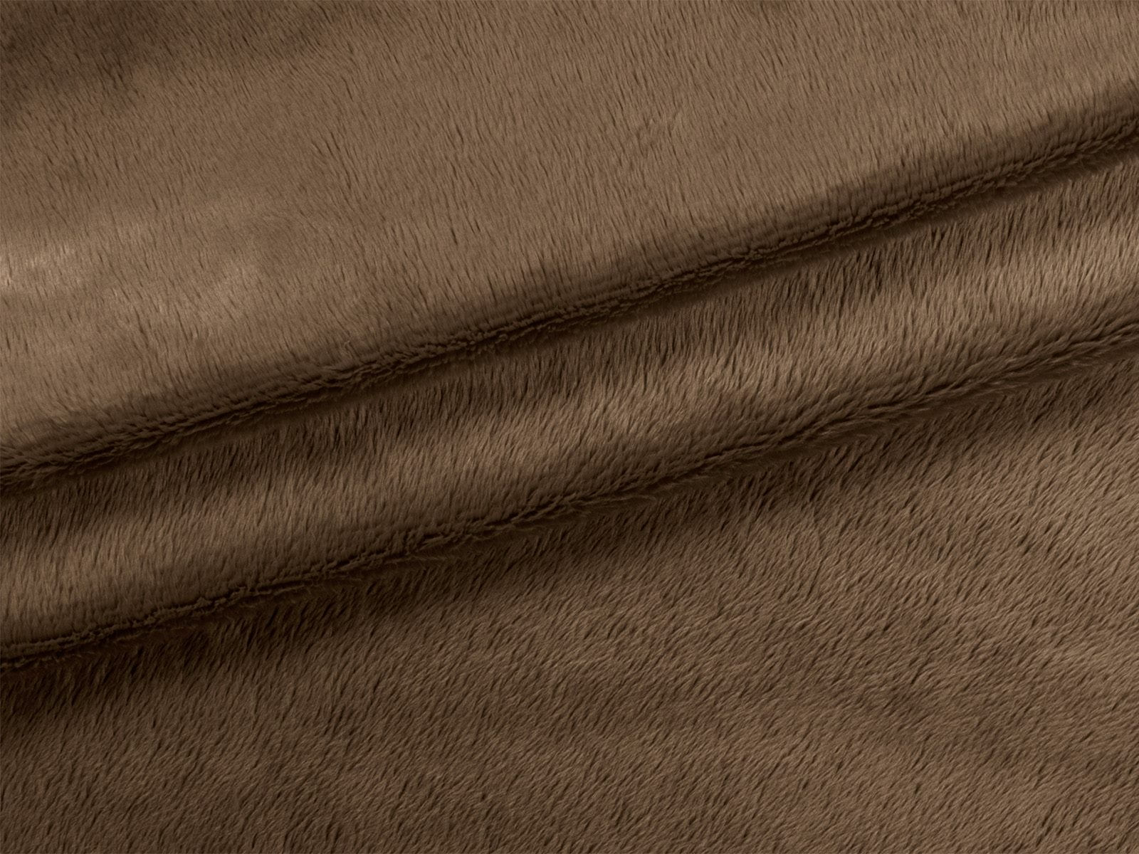 IMAGE_L