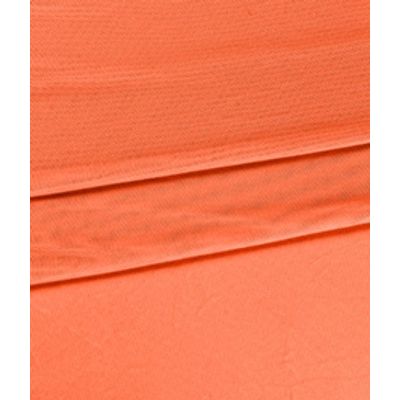 IMAGE_T