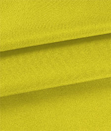 IMAGE_T