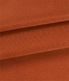 IMAGE_T