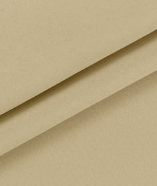IMAGE_T