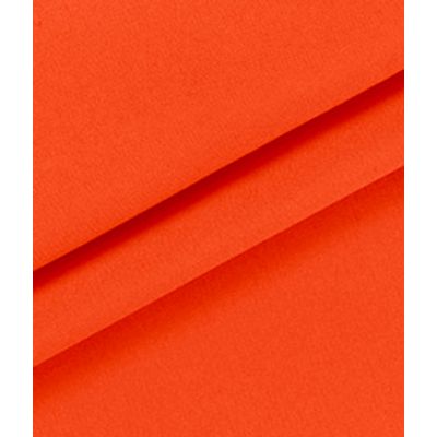 IMAGE_T