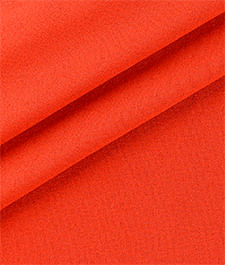 IMAGE_T