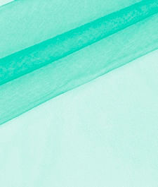 IMAGE_T