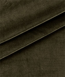 IMAGE_T