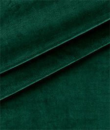 IMAGE_T