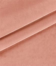 IMAGE_T