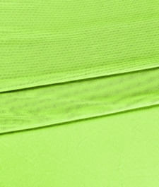 IMAGE_T