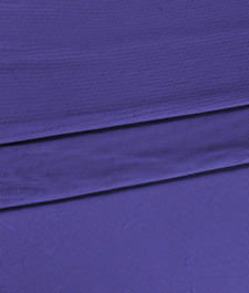 IMAGE_T