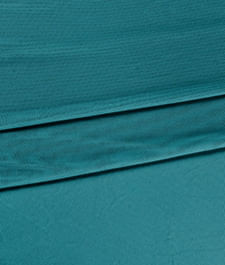 IMAGE_T