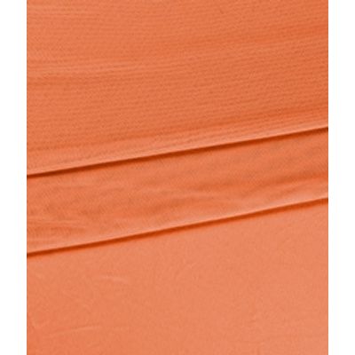 IMAGE_T