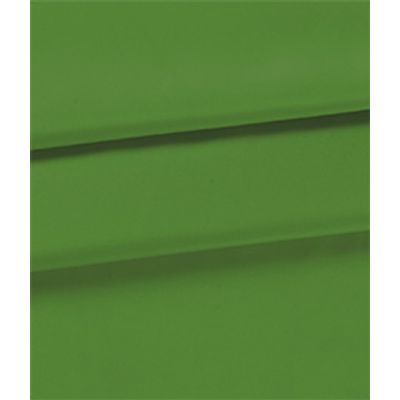 IMAGE_T