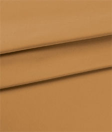 IMAGE_T