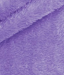 IMAGE_T