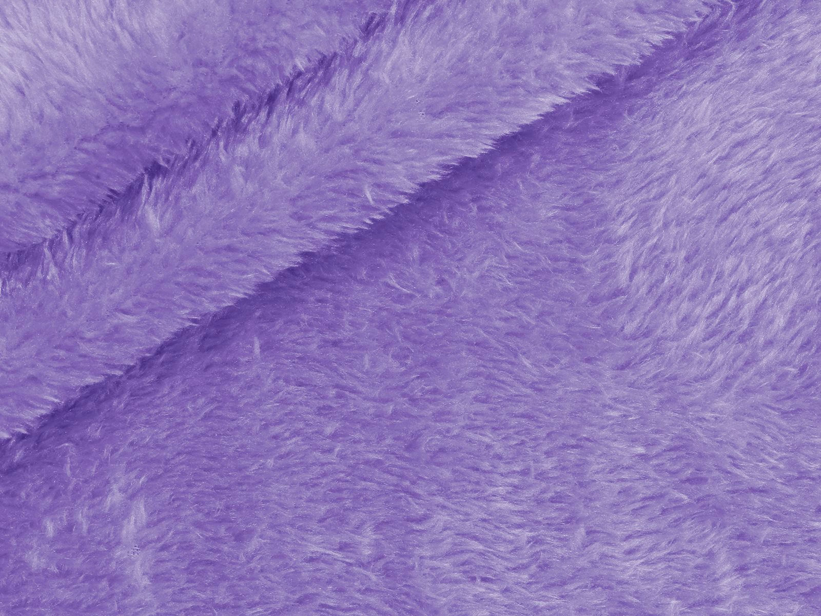 IMAGE_L