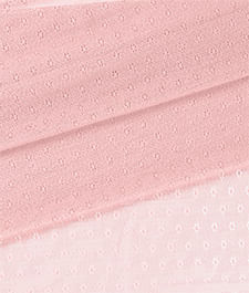 IMAGE_T