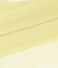 IMAGE_T
