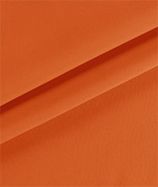 IMAGE_T