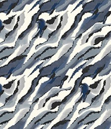 IMAGE_T