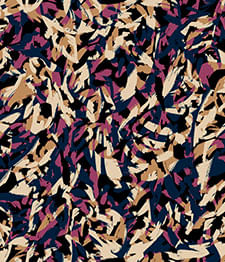 IMAGE_T