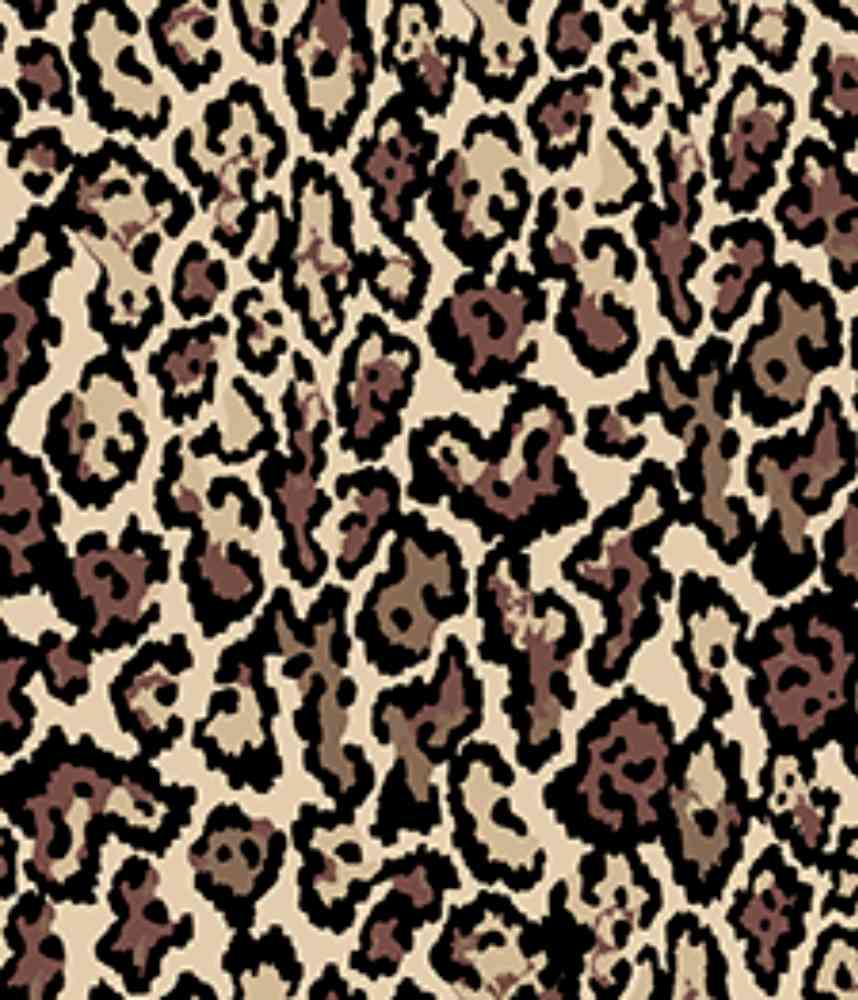 IMAGE_T