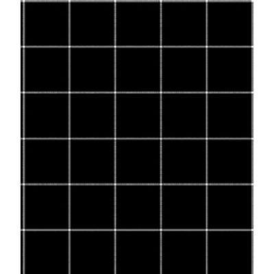 IMAGE_T