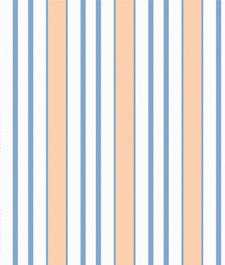 IMAGE_T