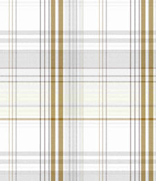IMAGE_T