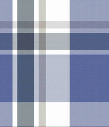 IMAGE_T