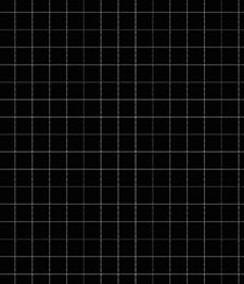 IMAGE_T