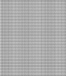 IMAGE_T