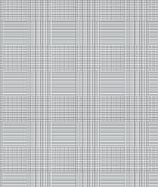 IMAGE_T