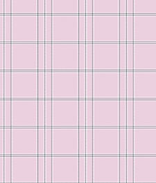 IMAGE_T