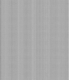 IMAGE_T