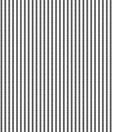 IMAGE_T