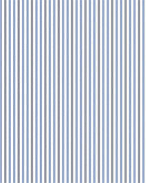 IMAGE_T