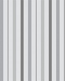 IMAGE_T