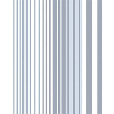 IMAGE_T