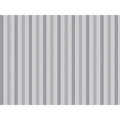IMAGE_L
