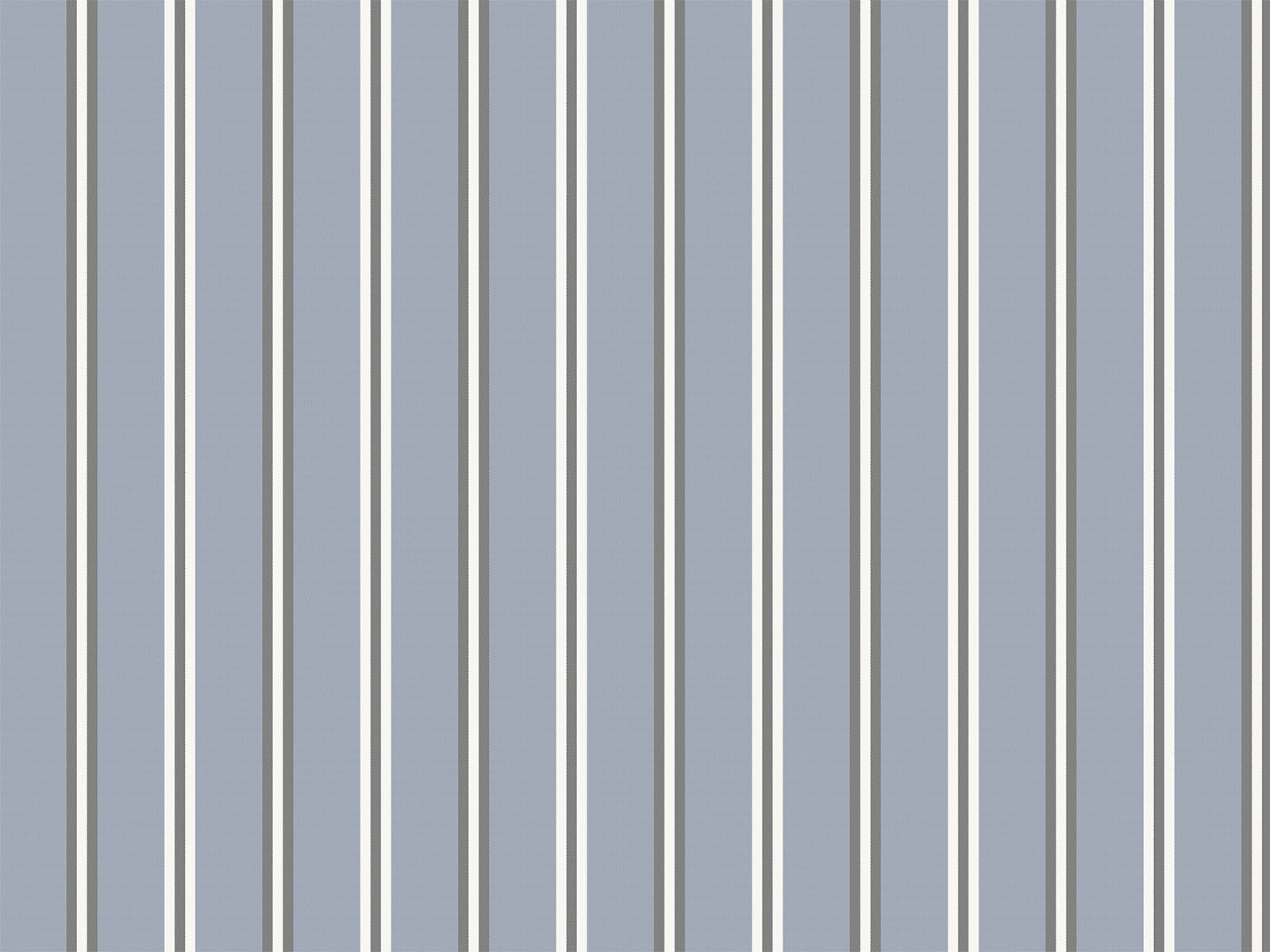 IMAGE_L
