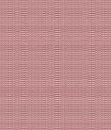 IMAGE_T