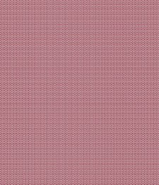 IMAGE_T