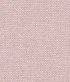 IMAGE_T