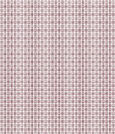 IMAGE_T