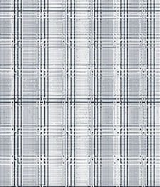 IMAGE_T
