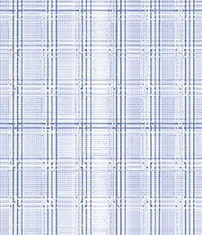 IMAGE_T