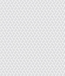 IMAGE_T