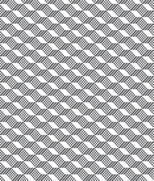IMAGE_T