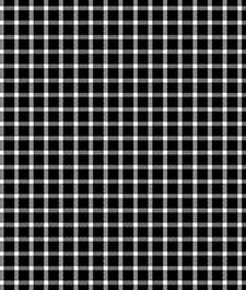 IMAGE_T