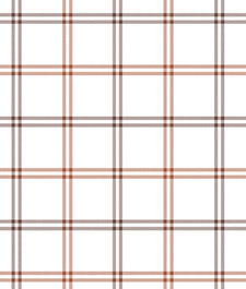 IMAGE_T